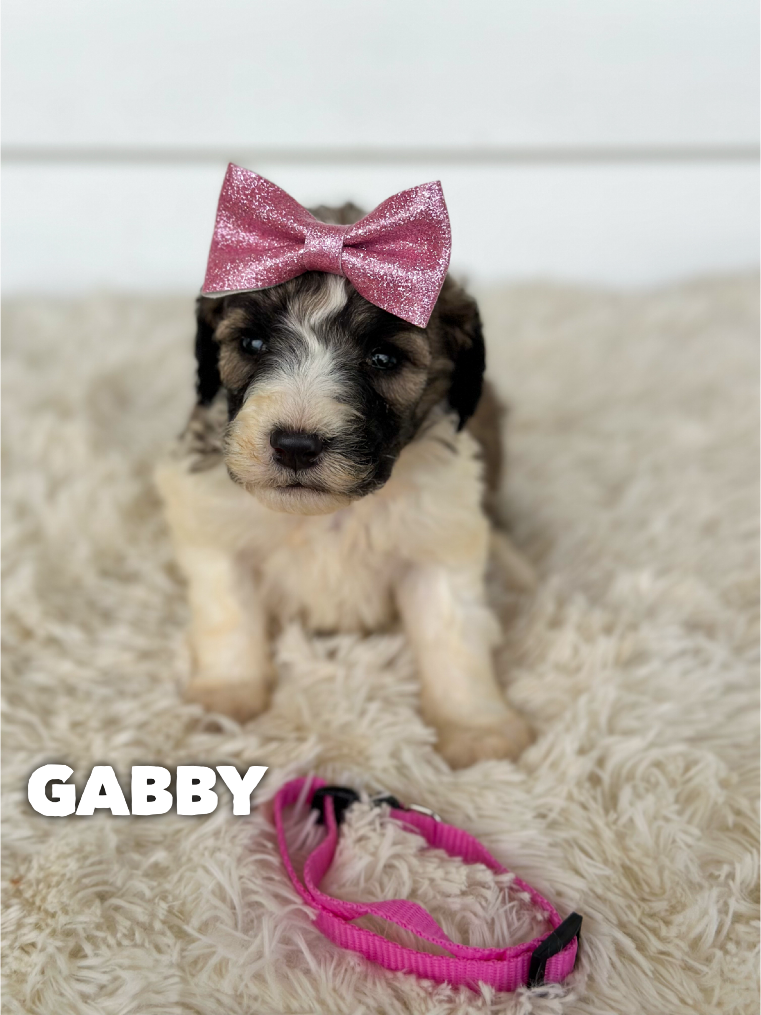 Gabby  2
